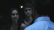 PLL211-00821.jpg