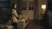 PLL211-01003.jpg