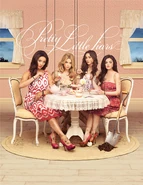 Promo05x25.jpg (243 KB)