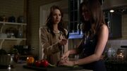 PLL304-0697.jpg
