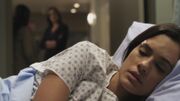 PLL122-0904.jpg