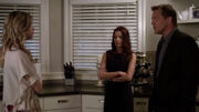 PLL202 (7).jpg