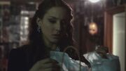 PLL225-00826.jpg