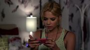 PLL304-0742.jpg