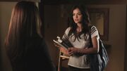 PLL204-0124.jpg