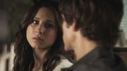PLL211-00408.jpg