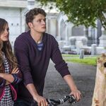 Luke Matheson Pretty Little Liars Wiki Fandom