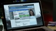 PLL304-1140.jpg