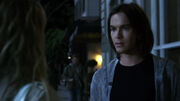 PLL209 (8).jpg