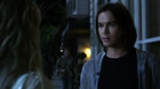 PLL209 (8)