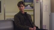 PLL223-01142.jpg