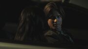 PLL206-0095.jpg