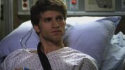 PLL217-00744.jpg