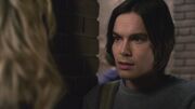 PLL224-00722.jpg