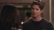 PLL219-00223.jpg