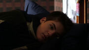 PLL209 (12)