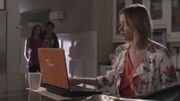 No Stone Unturned0212.jpg