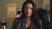 PLL120-0440.jpg