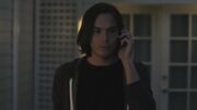 PLL119-1169.jpg