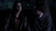 PLL207 (13)