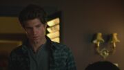 PLL224-00222.jpg