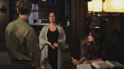 PLL211-00731.jpg
