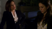 PLL223 (18)