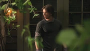 PLL209-00239