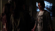 PLL217 (21)