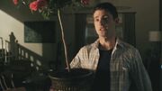 Wren7.jpg