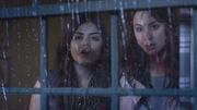 PLL225-00321.jpg