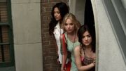 PLL304-0521.jpg