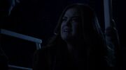 Aria-4x20.jpg