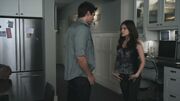 PLL108-00958.jpg
