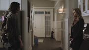 PLL201-0662.jpg
