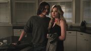 PLL204-0816.jpg