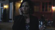 PLL211-00580.jpg