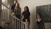 PLL201-0136.jpg