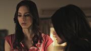 PLL206-0272.jpg
