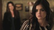 PLL217-00632.jpg