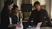 PLL223-00553.jpg