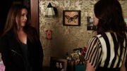 PLL217 (13)