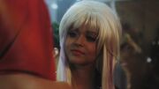 PLL213-00921.jpg