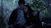 PLL202 (18).jpg