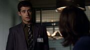 PLL302-01219.jpg