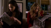 PLL223 (19)