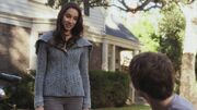 PLL121-0405.jpg