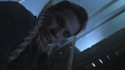PLL122-1145.jpg