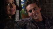Pll14.jpg