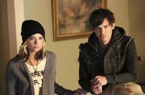 Haleb